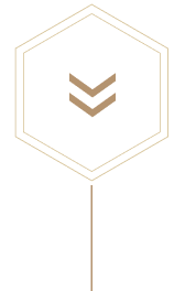 Duncan Taylor Scotch Whisky Duncan Taylor Scotch Whisky